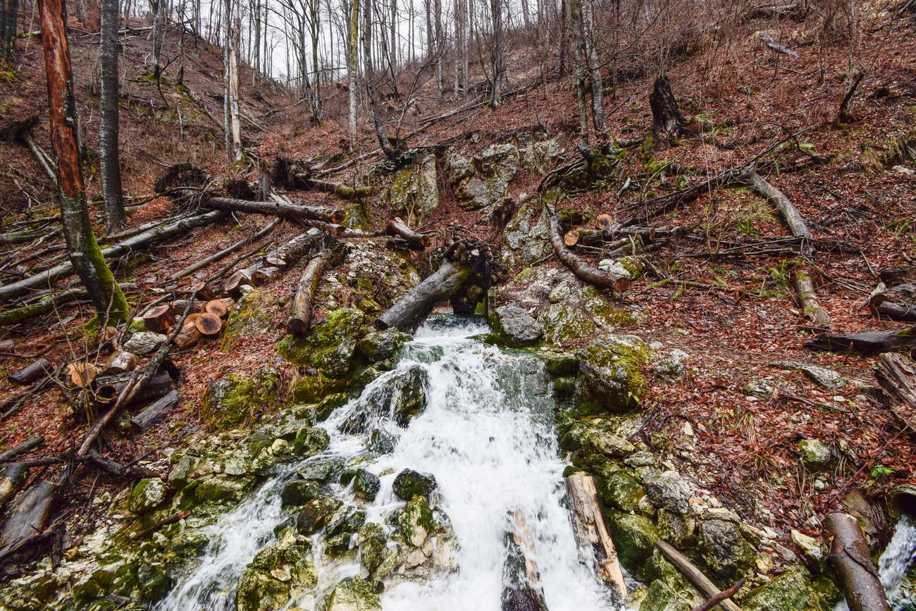 karst springs