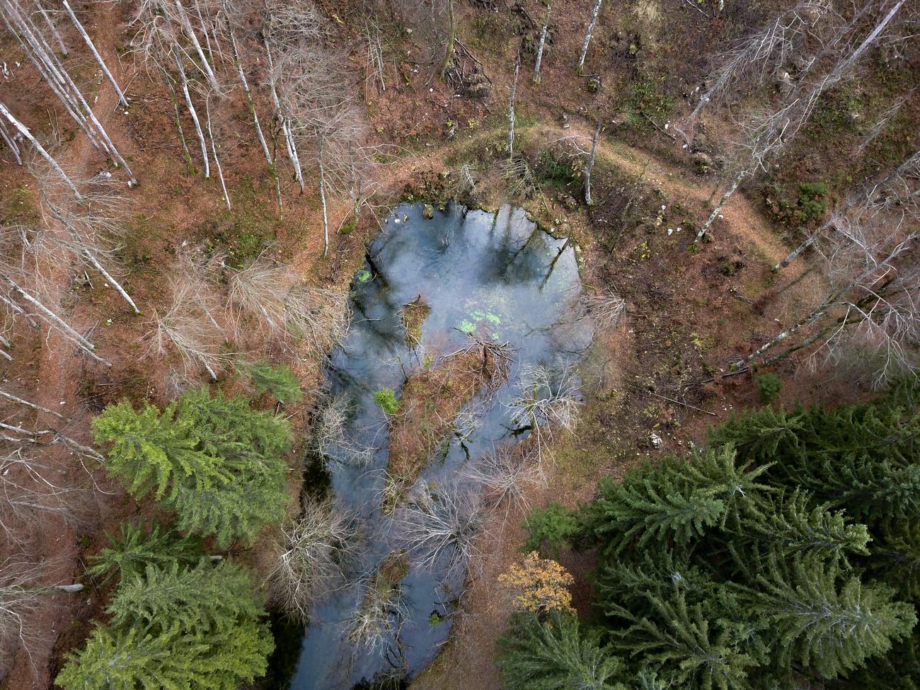 karst springs